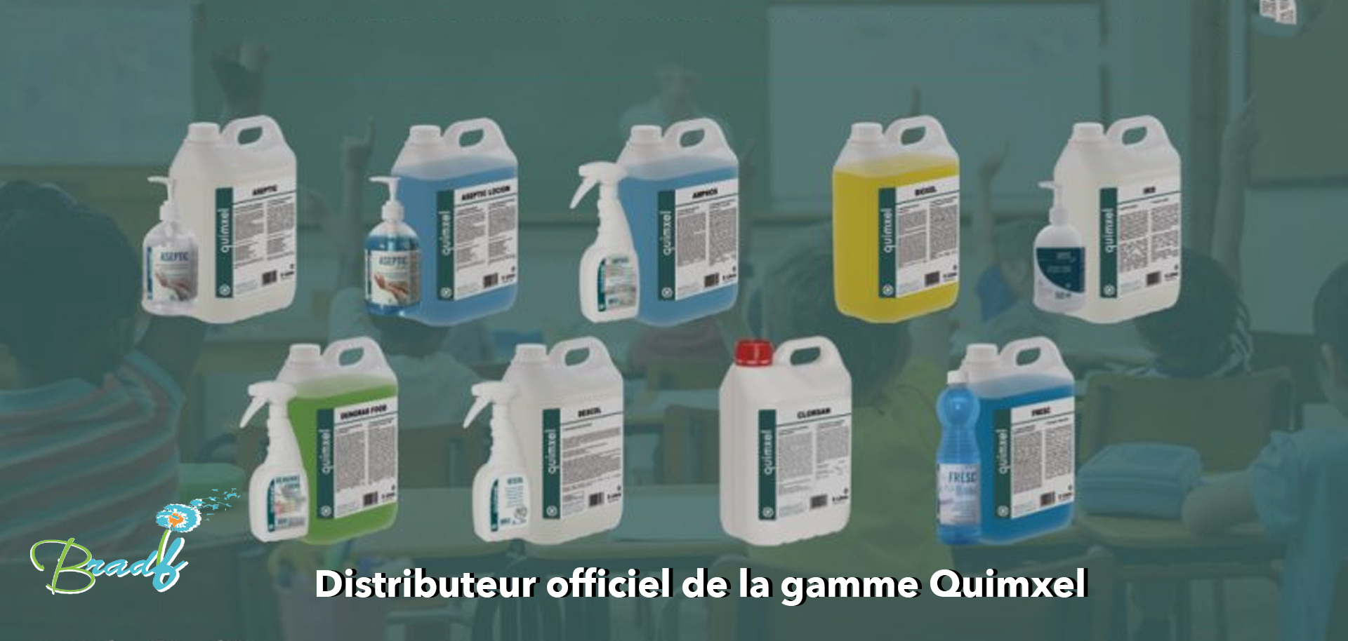 https://www.bradif.com/Quimxel maroc
